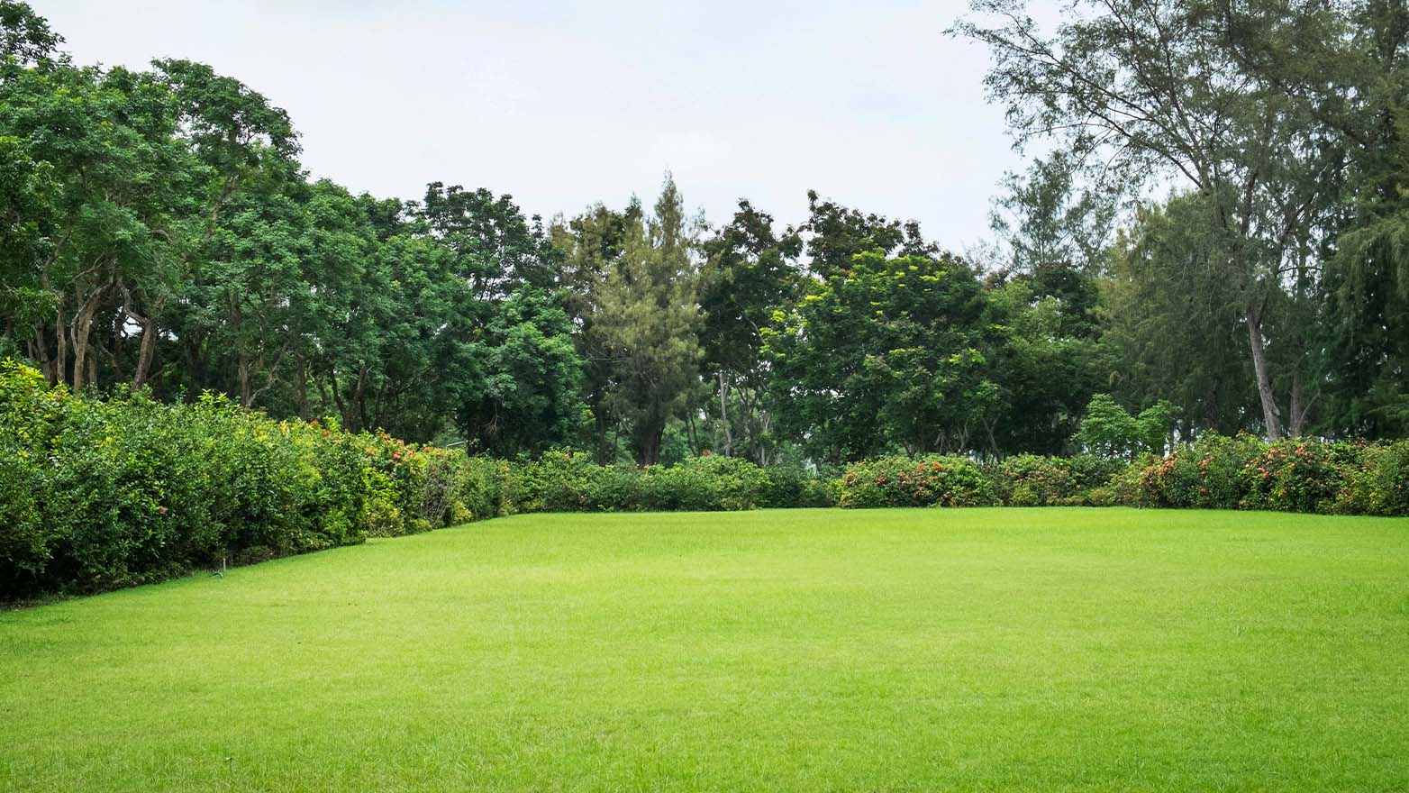 A scenic view of a lush green lawn, bordered by hedges and a backdrop of trees, under an overcast sky.
